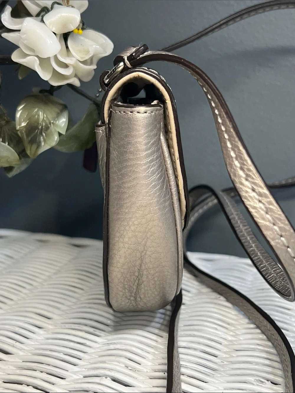 Coach Park Mini Leather Crossbody